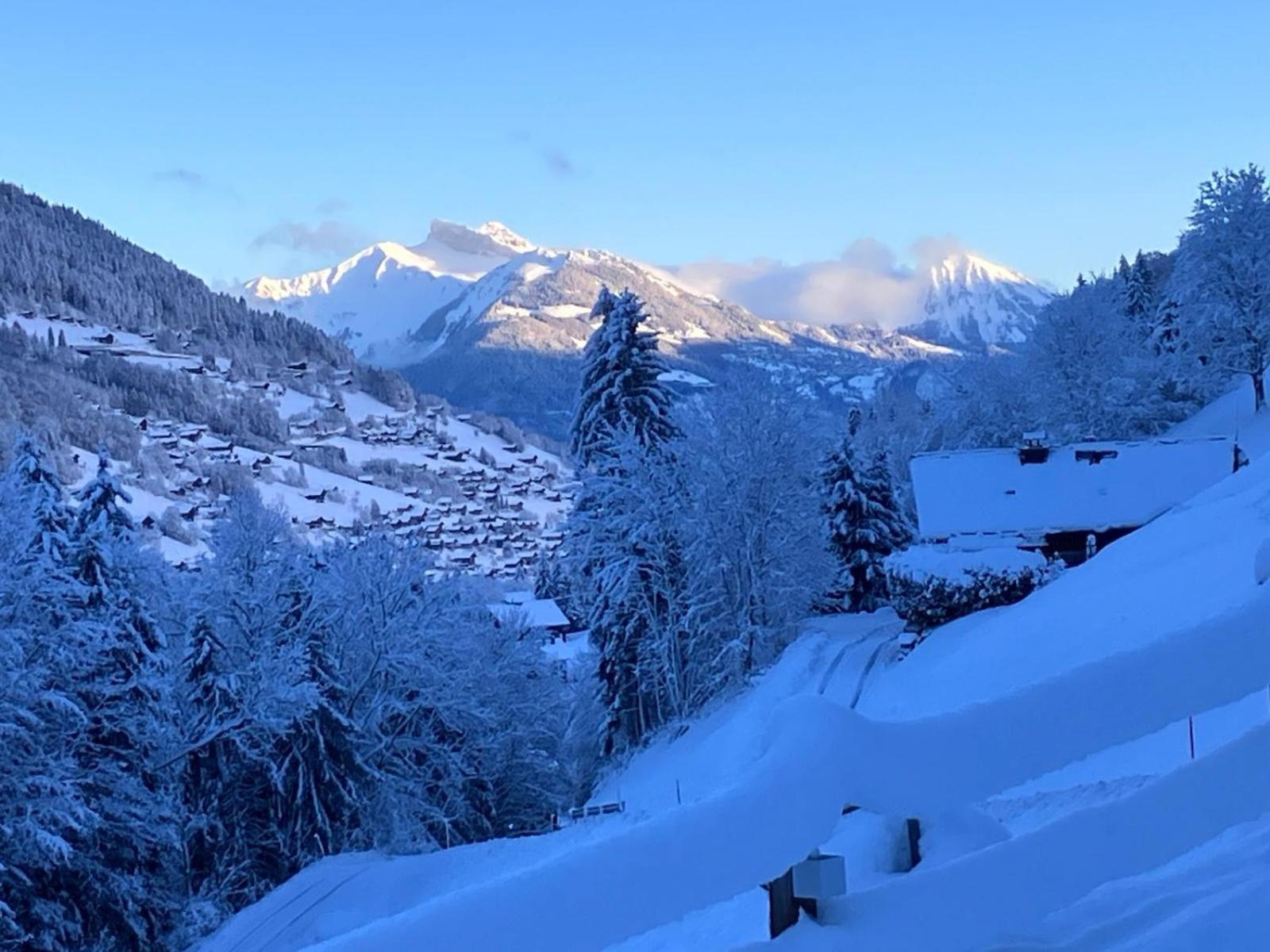 Studio Cosy Escape Val d'Illiez Exterior photo